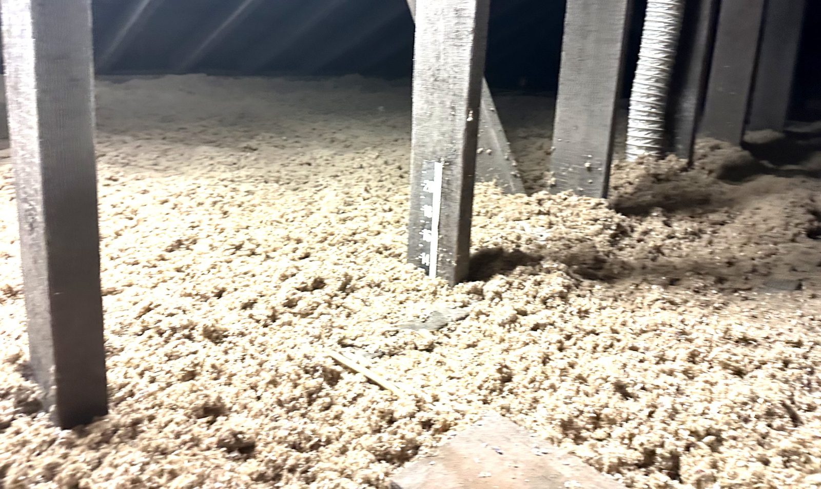 Blown cellulose in an attic with a ruled depth marker fastened to a truss, showing the installed depth.