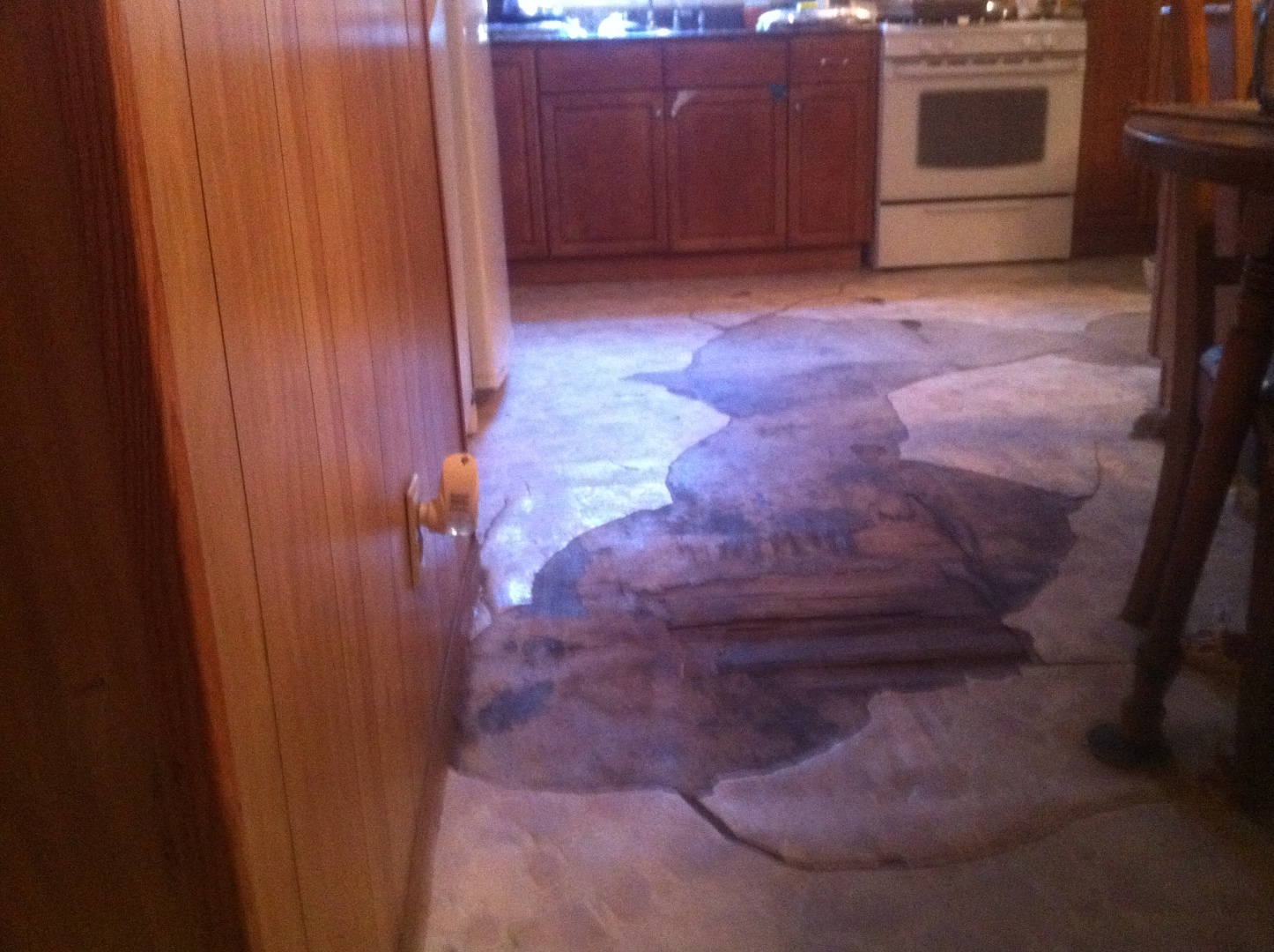 Kitchen of a raised, air-conditioned single-family house in south Louisiana. Roll-out sheet vinyl over the original wood floor system, with a dark irregular field of delaminated adhesive and free water between the vinyl and the wood.