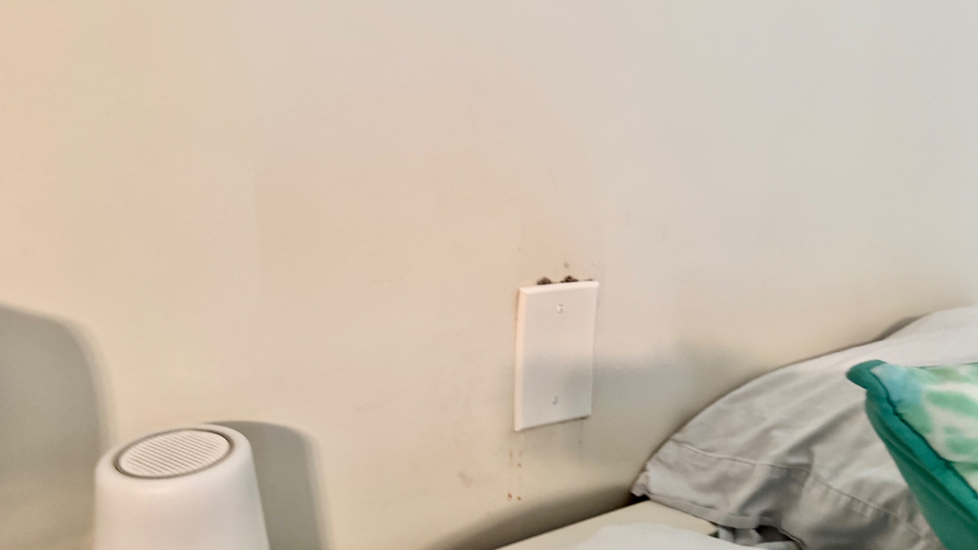 Moisture evidence at an interior switch plate.